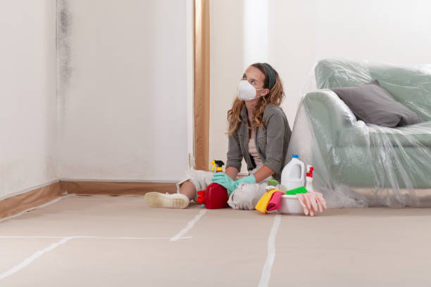 Trusted Commercial Mold Remediation service in Everett, WA - WQB Mold Removal